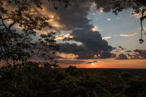 Rainforest Sunset