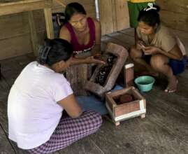 Veteran mentor training new bee educators.