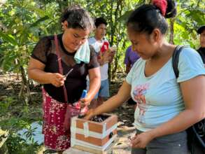 New beekeepers reviewing their hive