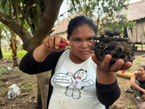 Maijuna beekeeping promoter handling brood