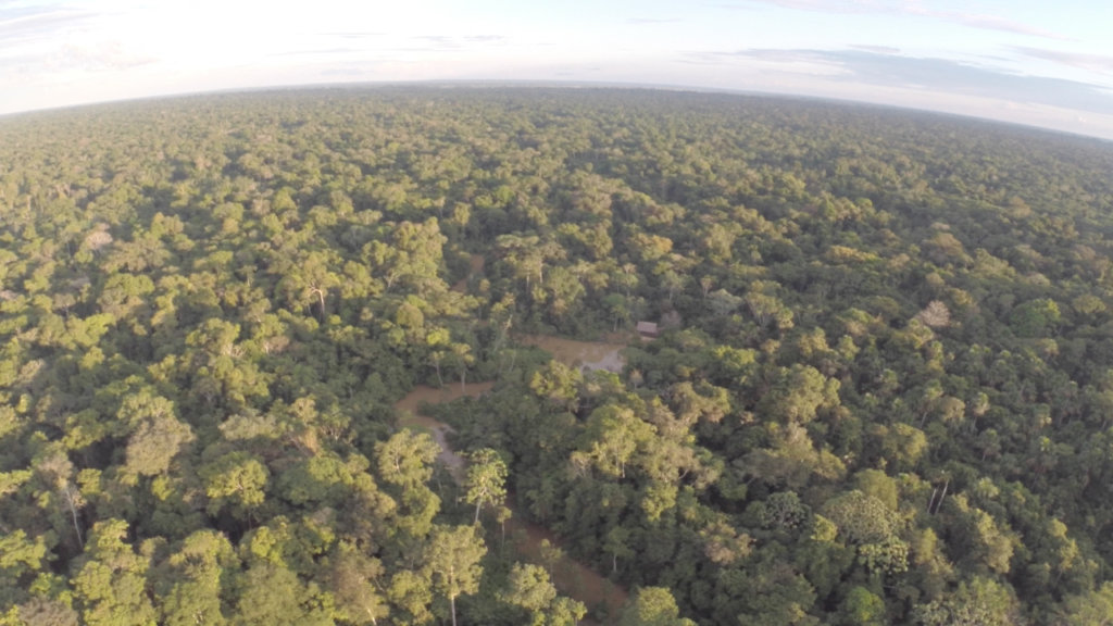Beekeeping with Indigenous People in the Amazon
