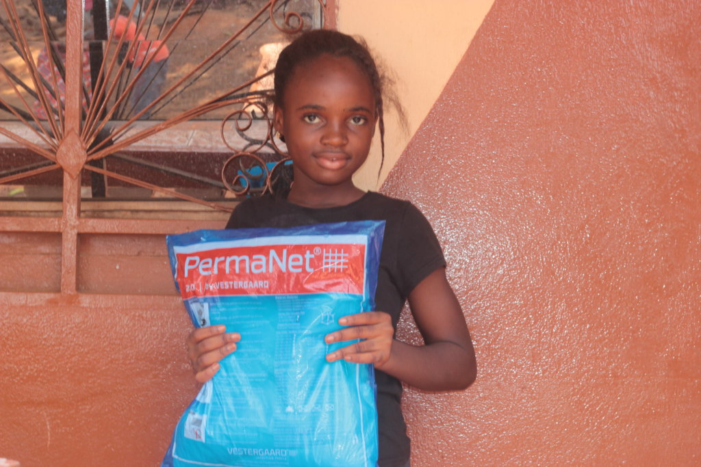 Help Provide Mosquito Bed Nets to Prevent Malaria GlobalGiving