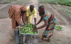 Three women learn how to properly clean produce