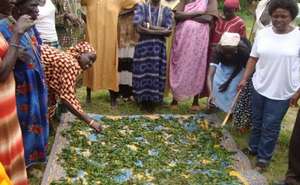 Drying and cleaning the vegetables to sell