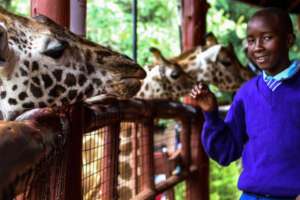 Jitegemee students visit Nairobi's Giraffe Center