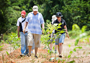 ARF staff and volunteers at work