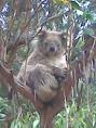 A Good Mate