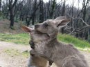 Too Cute!