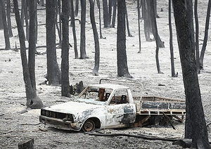 Bushfire Aftermath