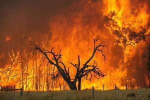 Wildfires in Victoria, February 2009
