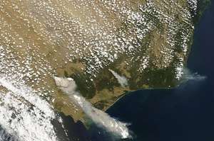 Wildfires burning key wildlife habitat