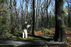 Restore Australia’s Forest after the Wildfires