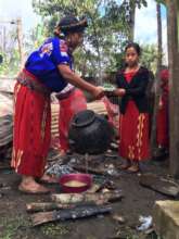 You are building a clean stove for the kitchen