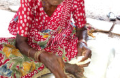 Food to 32 Starving Neglected Elderly Women