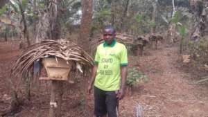 An established apiary by a trained Youth