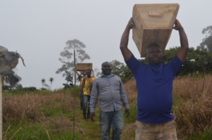 Participants transporting hives for installation