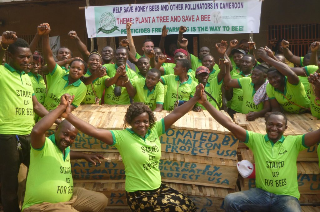 Help 50 Youths Save Bees and Beekeping in Cameroon