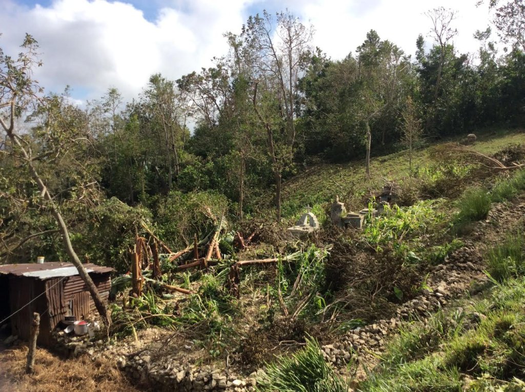 Vison for Haiti- Hurricane Matthew Relief Fund.