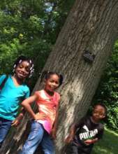 Help an Immigrant Child Succeed in School