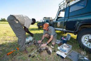 Working to save Cusp