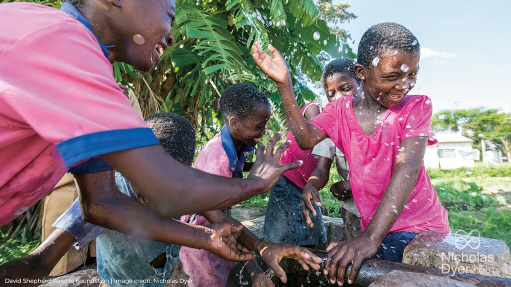 Protecting Painted Dogs