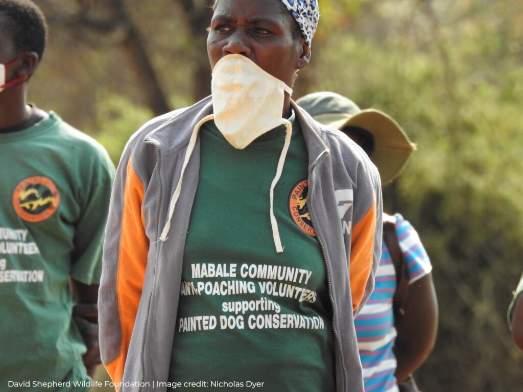 Protecting Painted Dogs