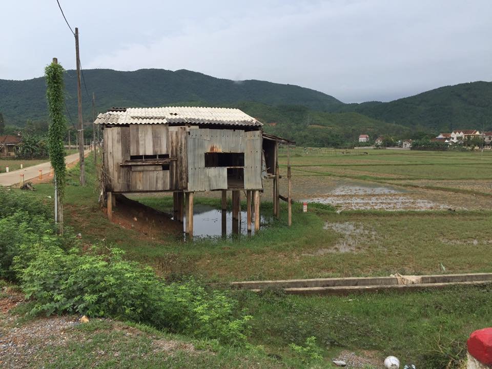 Clean water for Children in Flooded Areas Vietnam