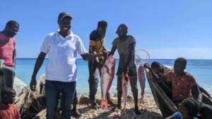 Fish caught by APEDESSUD fishing group