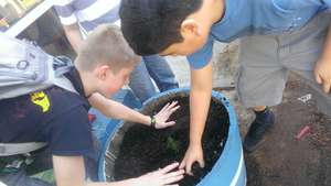 Planting Trees