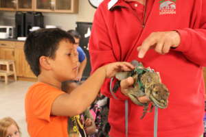 Up close and personal with the reptiles!