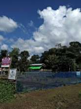 Garden at the Karen State DARE Centre