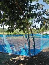 Keeping the chickens out