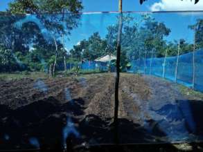 The land is prepared