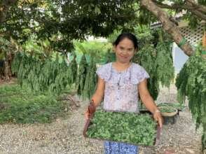 MoringAid: Superfood for War Refugees in Myanmar