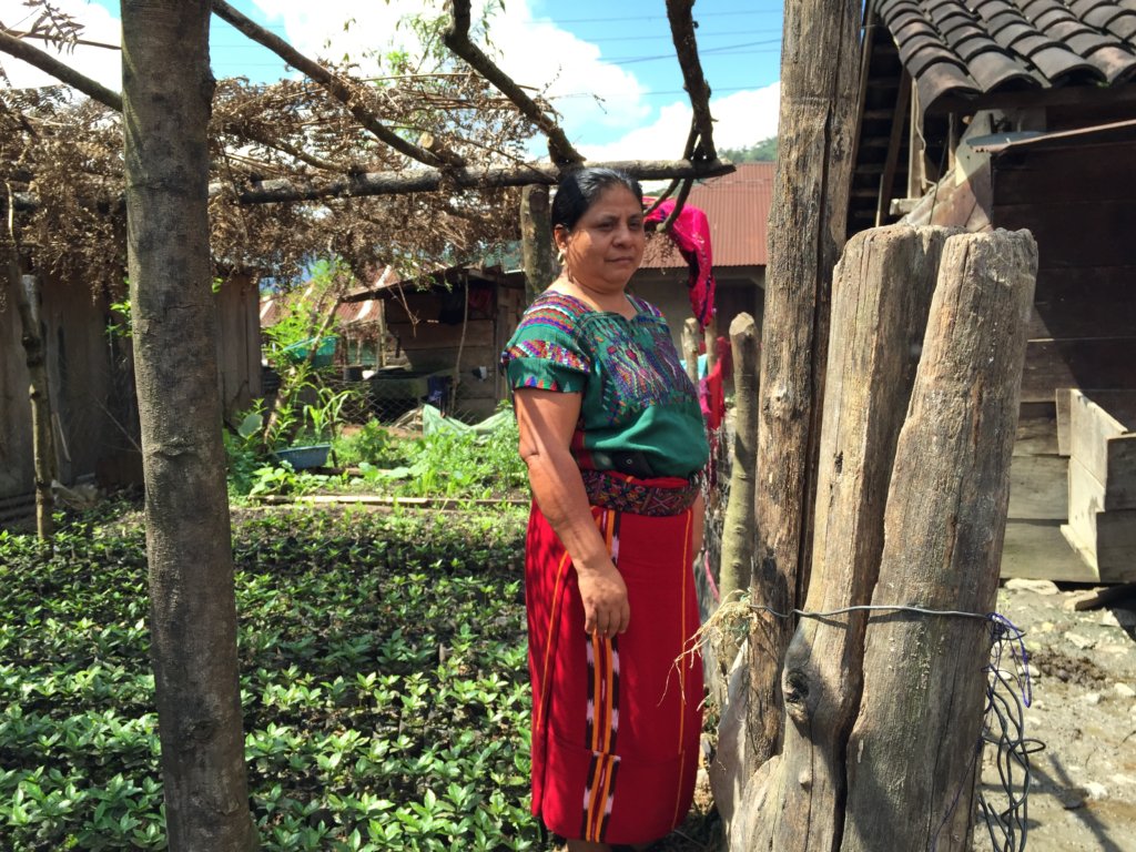 38 Mayan Women Farmers Support a Village