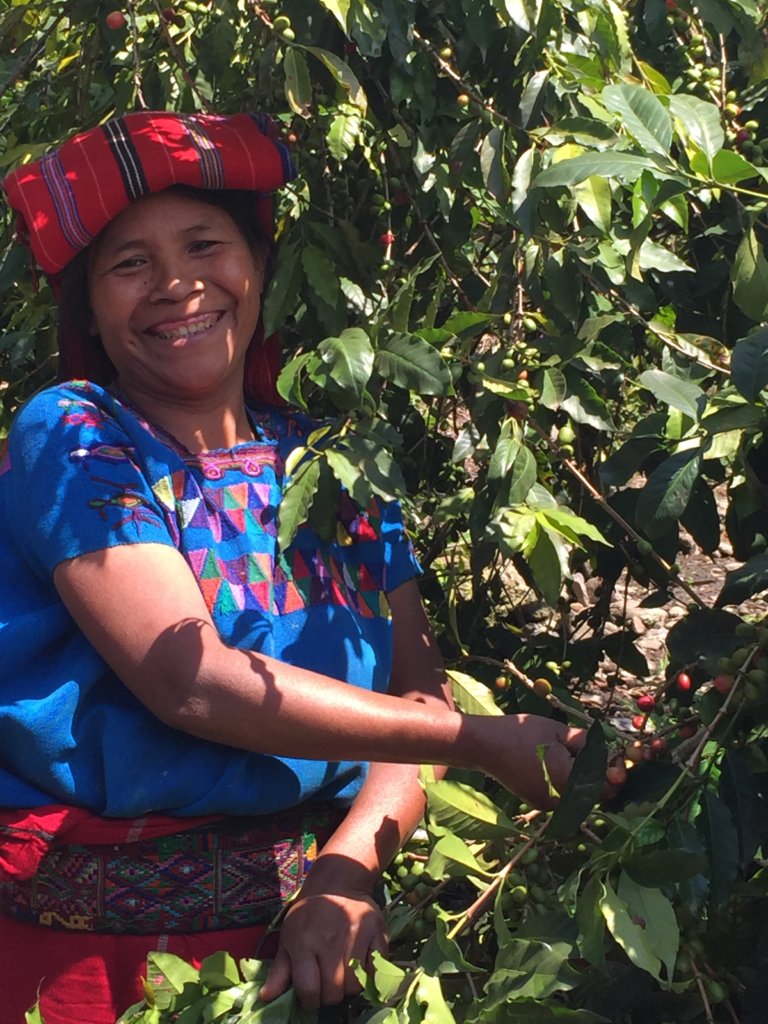 38 Mayan Women Farmers Support a Village
