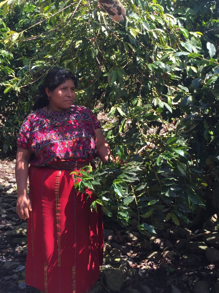 38 Mayan Women Farmers Support a Village