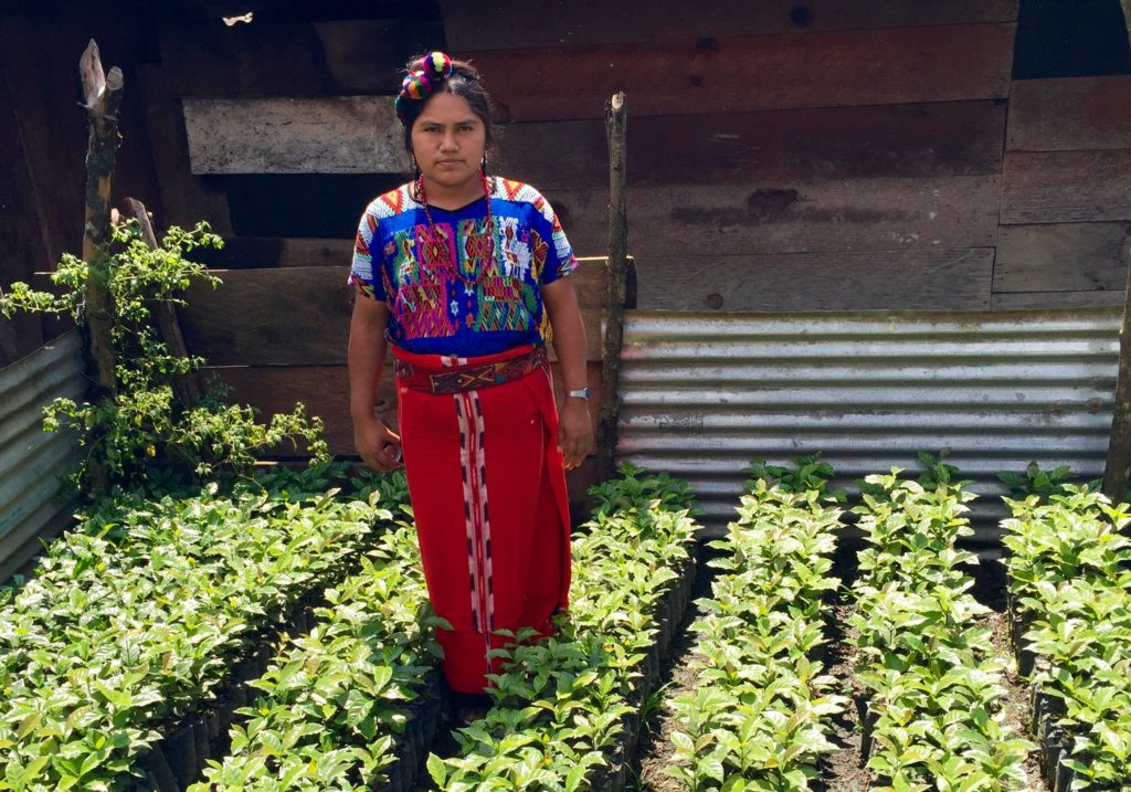 38 Mayan Women Farmers Support a Village