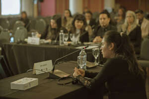 Public Hearing - Photo credit: ICHR