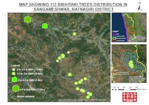 Giant trees and stream network