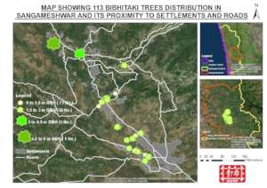 Giant trees and human settlements.