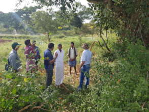 Talking to the proud Giant Tree owner in Bandipur