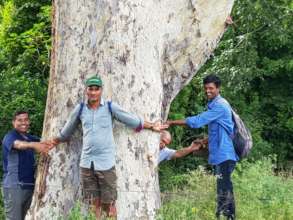Team Junglescape hugging Giant tree in Lokkere