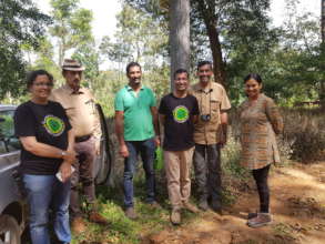 Giant tree conservation partners from South India