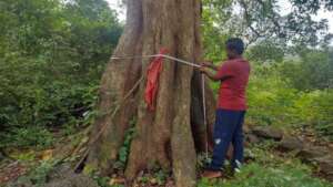 Ground truthing-high integrity conservation