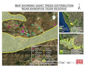 Giant trees of Bandipur-map1