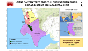 Distribution of Banyan trees on coast of India