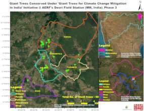 Distribution map of giant trees in Deori block