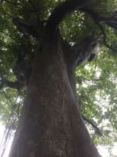 Earth Expedition visit-01