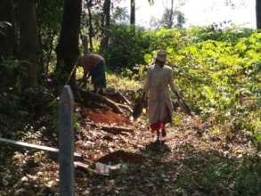 Protection of giant trees in Village Sangave